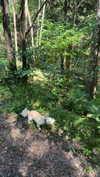 mathilda_bergs Altpins Profile Picture