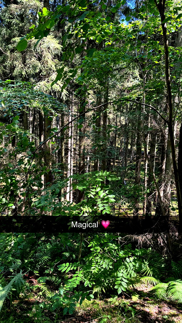 mathilda_bergs snapchat image archive image