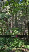 mathilda_bergs Altpins Profile Picture