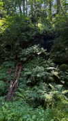 mathilda_bergs Altpins Profile Picture