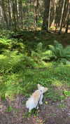 mathilda_bergs Altpins Profile Picture