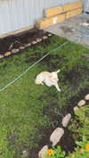 mathilda_bergs Altpins Profile Picture