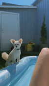 mathilda_bergs Altpins Profile Picture