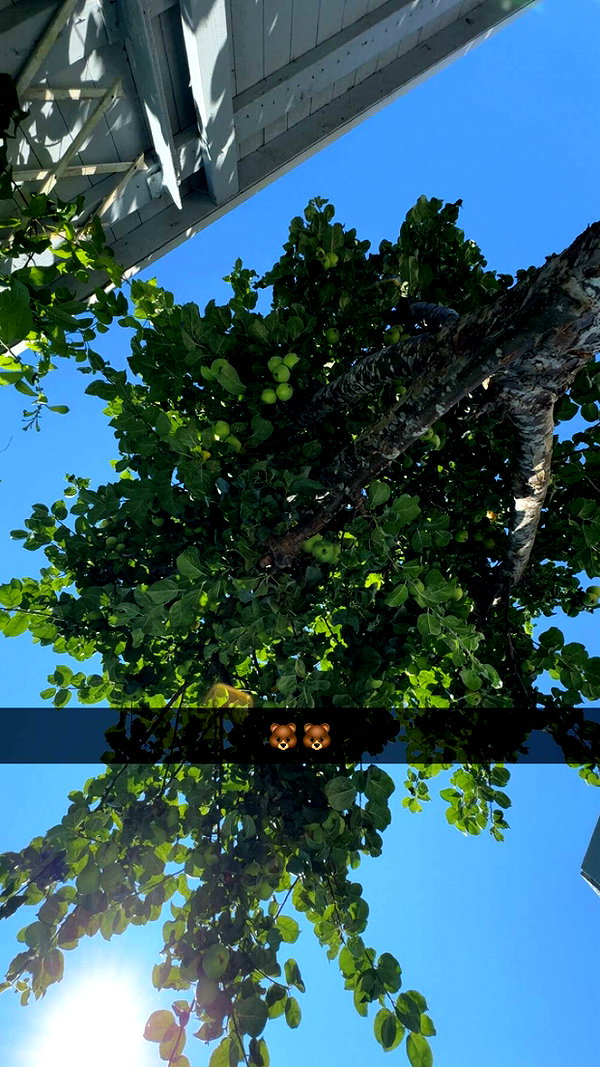 mathilda_bergs snapchat image archive image