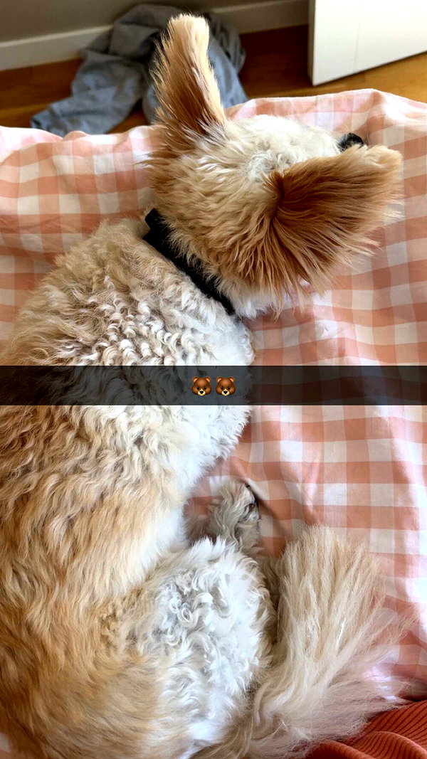 mathilda_bergs snapchat image archive image