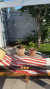 mathilda_bergs Altpins Profile Picture