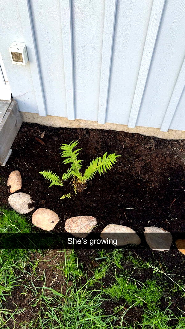 mathilda_bergs snapchat image archive image