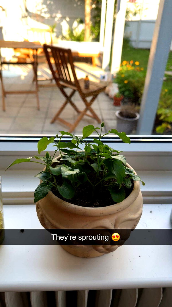 mathilda_bergs snapchat image archive image