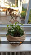mathilda_bergs Altpins Profile Picture