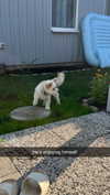 mathilda_bergs Altpins Profile Picture