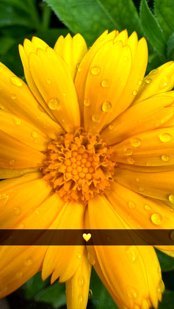 mathilda_bergs snapchat image archive image