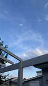 mathilda_bergs Altpins Profile Picture