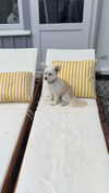 mathilda_bergs Altpins Profile Picture