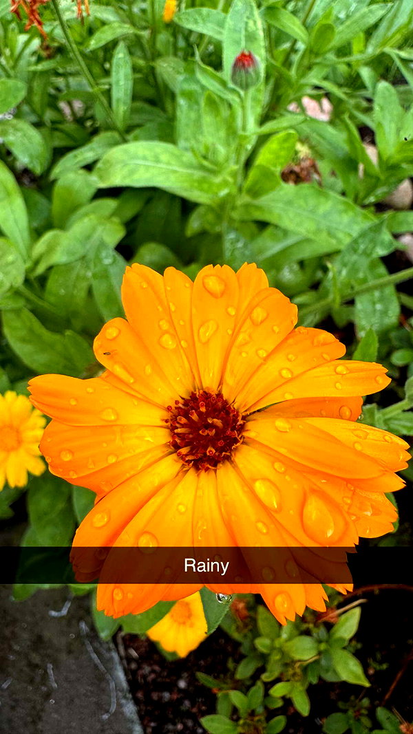 mathilda_bergs snapchat image archive image