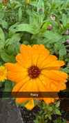 mathilda_bergs Altpins Profile Picture