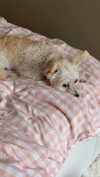 mathilda_bergs Altpins Profile Picture