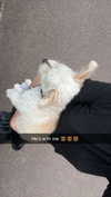 mathilda_bergs Altpins Profile Picture