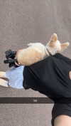 mathilda_bergs Altpins Profile Picture
