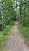 mathilda_bergs Altpins Profile Picture
