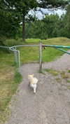 mathilda_bergs Altpins Profile Picture