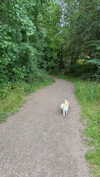 mathilda_bergs Altpins Profile Picture