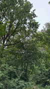 mathilda_bergs Altpins Profile Picture