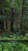 mathilda_bergs Altpins Profile Picture