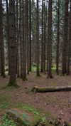 mathilda_bergs Altpins Profile Picture