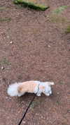 mathilda_bergs Altpins Profile Picture