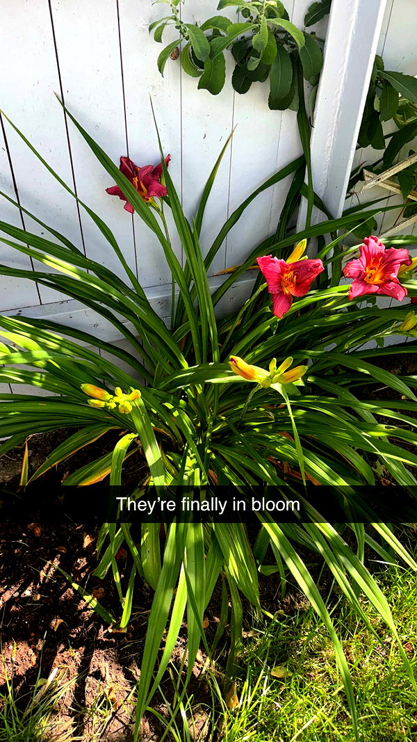 mathilda_bergs snapchat image archive image