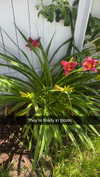 mathilda_bergs Altpins Profile Picture