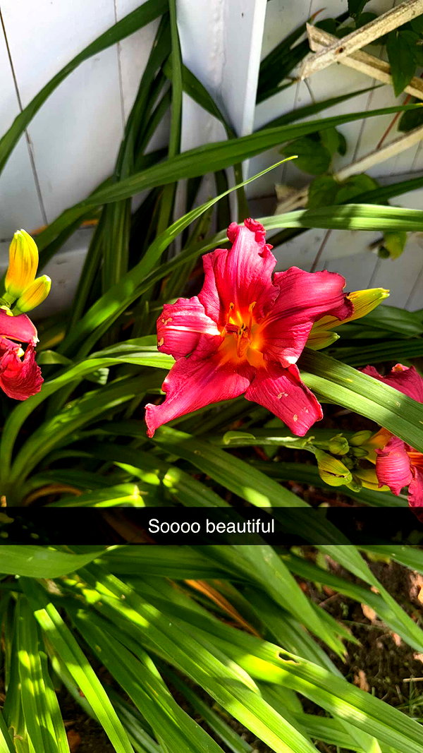 mathilda_bergs snapchat image archive image