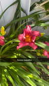 mathilda_bergs Altpins Profile Picture