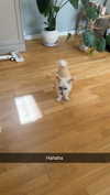 mathilda_bergs Altpins Profile Picture