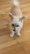 mathilda_bergs Altpins Profile Picture