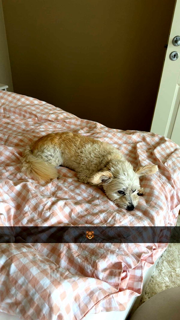 mathilda_bergs snapchat image archive image