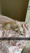 mathilda_bergs Altpins Profile Picture