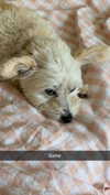 mathilda_bergs Altpins Profile Picture