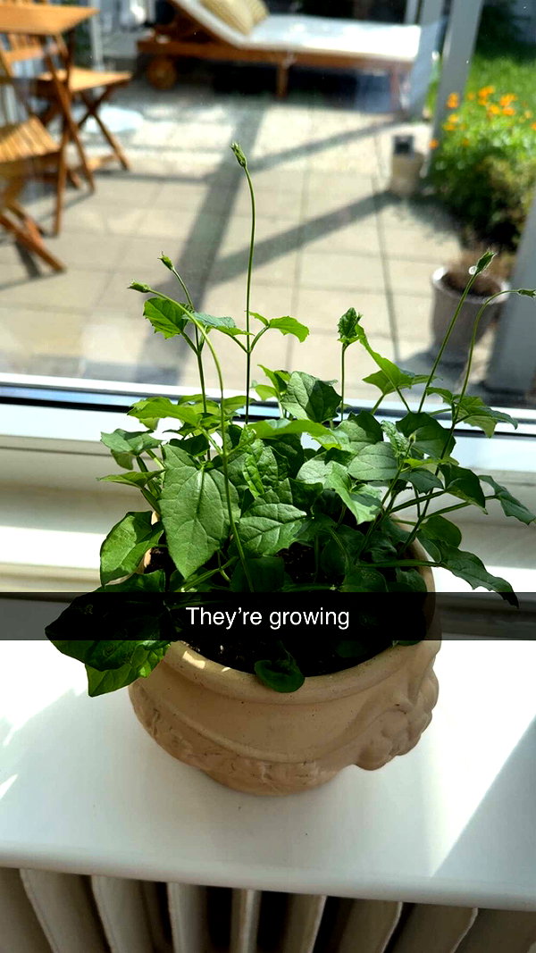 mathilda_bergs snapchat image archive image