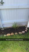 mathilda_bergs Altpins Profile Picture