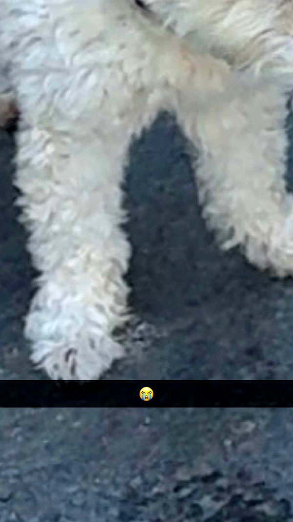 mathilda_bergs snapchat image archive image
