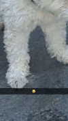 mathilda_bergs Altpins Profile Picture