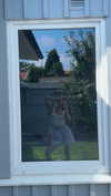mathilda_bergs Altpins Profile Picture