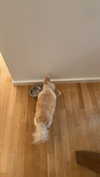 mathilda_bergs Altpins Profile Picture