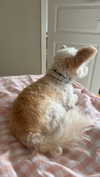 mathilda_bergs Altpins Profile Picture