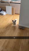 mathilda_bergs Altpins Profile Picture
