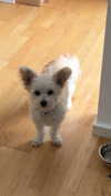 mathilda_bergs Altpins Profile Picture
