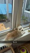 mathilda_bergs Altpins Profile Picture