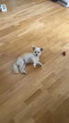 mathilda_bergs Altpins Profile Picture