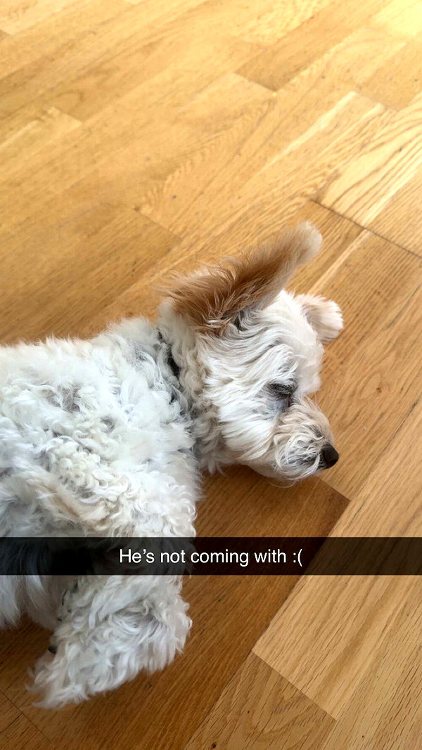 mathilda_bergs snapchat image archive image